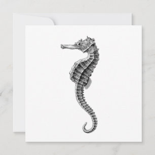 SEAHORSE SEALIFE FLAT KAART