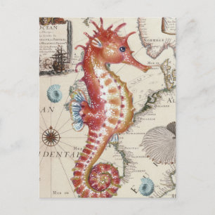Seahorse Shabby Briefkaart