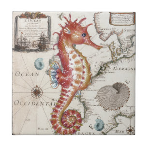Seahorse Shabby Tegeltje