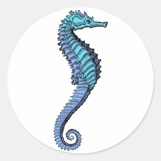 Seahorse Sticker (Voorkant)