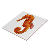 Seahorse Tegeltje (Zijkant)