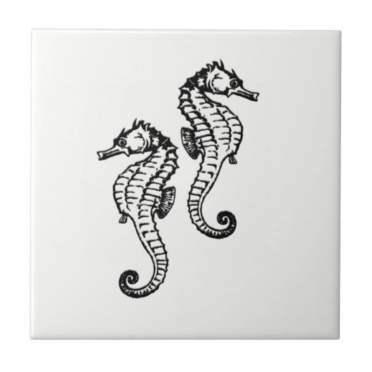 Seahorse Tegeltje (Voorkant)