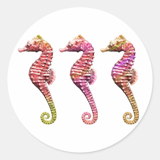 Seahorse Trio in Reds Ronde Sticker (Voorkant)