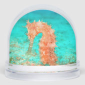 Seahorse tropical carribean turquoise orange sneeuwbol (Voorkant)