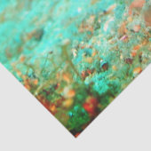 Seahorse tropical carribean turquoise orange tissuepapier (Detail)