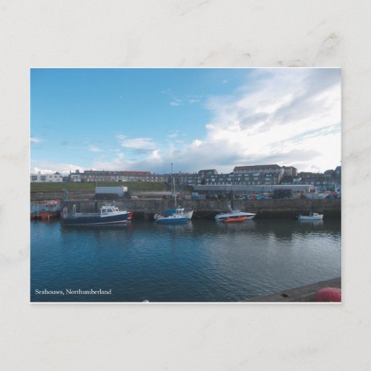 Seahouses Harbour - Postcard Briefkaart (Voorkant)