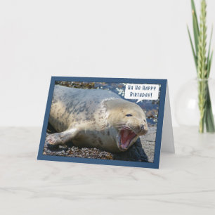Seal Lachen Verjaardag wenskaart - Ha Ha Happy Kaart