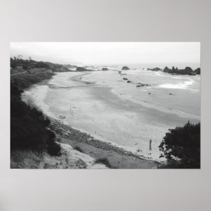 Seal Rock-Duotone Poster