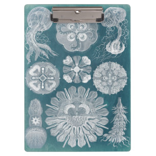 Sealife Blueprint IV Klembord