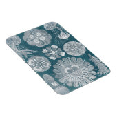 Sealife Blueprint IV Magneet (Rechterzijde)