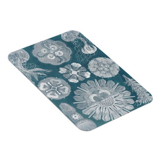 Sealife Blueprint IV Magneet (Rechterzijde)