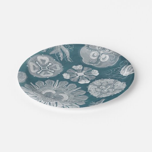 Sealife Blueprint IV Papieren Bordje (Gekanteld)