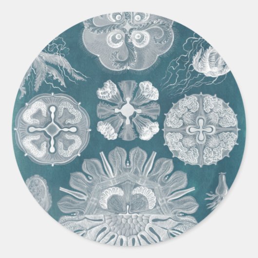 Sealife Blueprint IV Ronde Sticker (Voorkant)