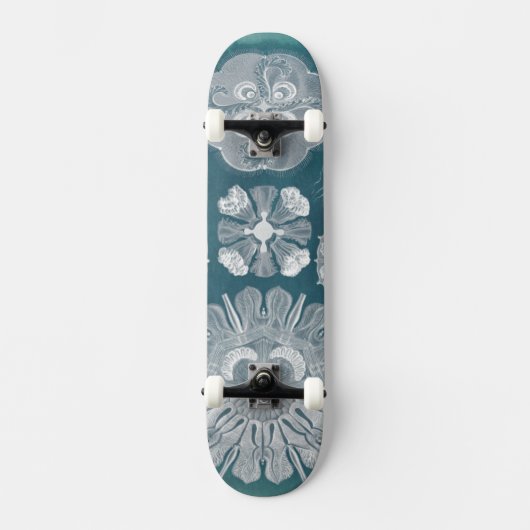 Sealife Blueprint IV Skateboard (Voorkant)