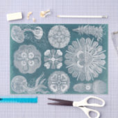 Sealife Blueprint IV Tissuepapier (Craft)