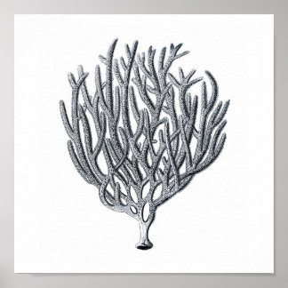 Sealife Group12A Print 1