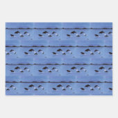 Sealife Inpakpapier Vel (Voorkant 3)