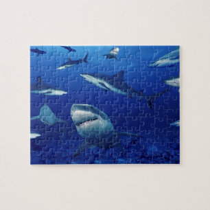 Sealife Puzzle-Sharks Jigzaag Puzzle Legpuzzel