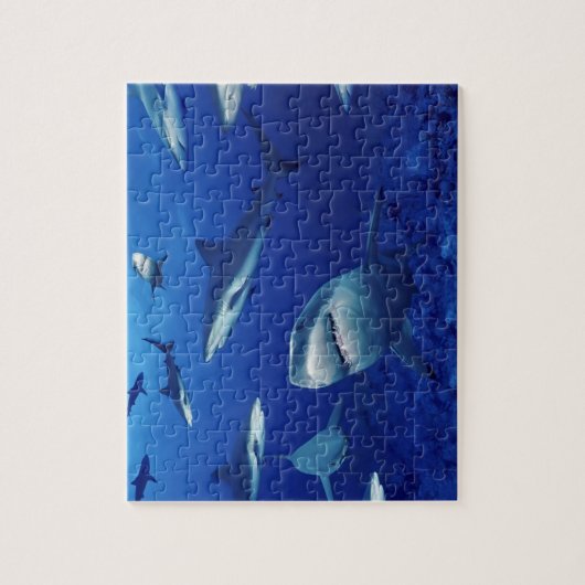 Sealife Puzzle-Sharks Jigzaag Puzzle Legpuzzel (Verticaal)