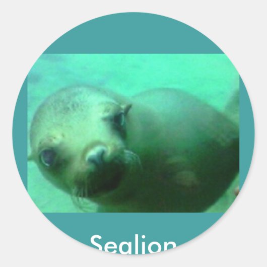 Sealion Ronde Sticker (Voorkant)