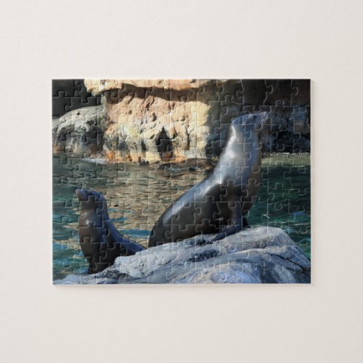 Seals Puzzle Legpuzzel (Horizontaal)