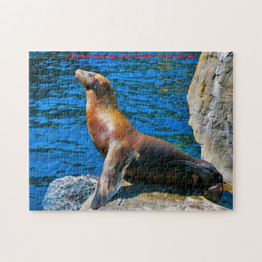 Seals Robbeneiland Florida. kerstcadeautjes Legpuzzel (Horizontaal)