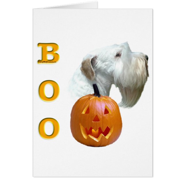 Sealyham Terrier Boo (Voorkant)