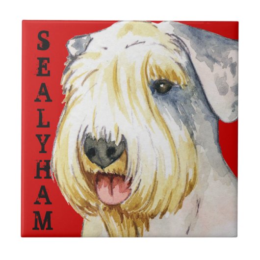 Sealyham Terrier Color Block Tegeltje (Voorkant)