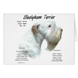 Sealyham Terrier Geschiedenis