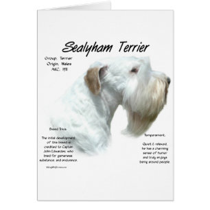Sealyham Terrier Geschiedenis Ontwerp