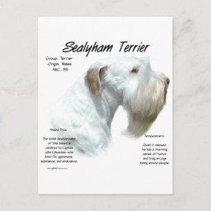 Sealyham Terrier Geschiedenis Ontwerp Briefkaart