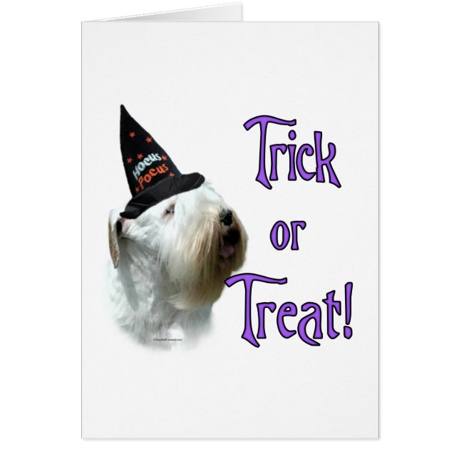 Sealyham Terrier Trick (Voorkant)
