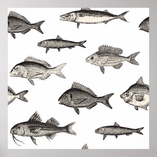 Seamless vintage fish patternvintage, fish, patter poster (Voorkant)
