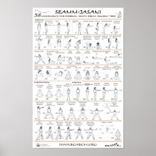 Seamm-Jasani: Verplaatsingen voor jongeren in het  Poster