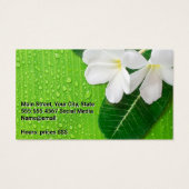 Séance de massothérapie | Feuilles de fleurs (Dos)