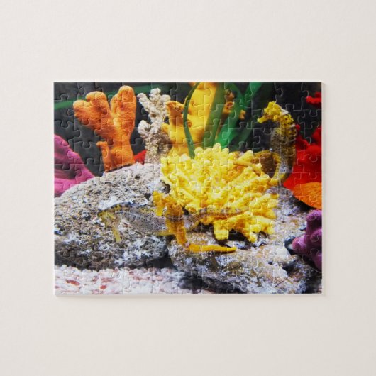 Seapaarden Legpuzzel (Horizontaal)