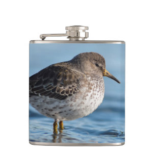 Searching Rock Sandpiper Heupfles