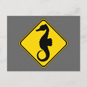 Searhorse Crossing. Briefkaart