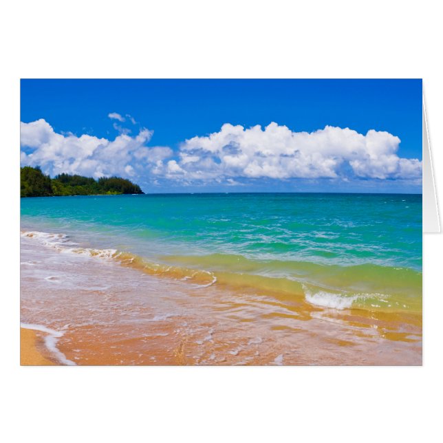 Seascape Along Hanalei Bay (Voorkant Horizontaal)