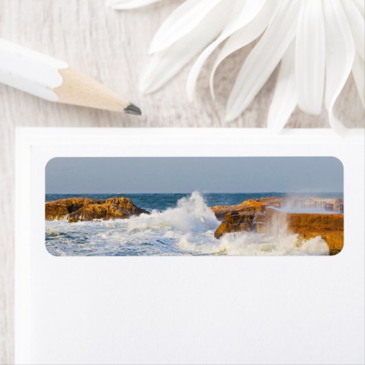 Seascape Etiket (Insitu)