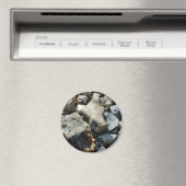 Seashell 3 magneet (Insitu (Vaatwasser))