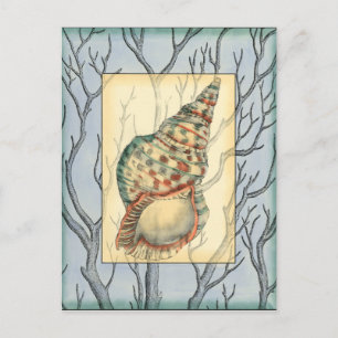 Seashell and Tree Branches Briefkaart