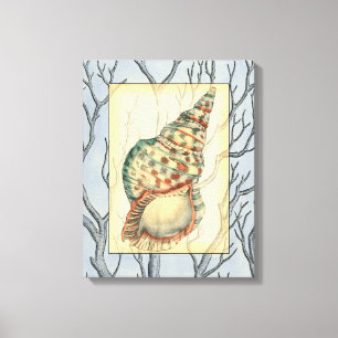 Seashell and Tree Branches Canvas Afdruk