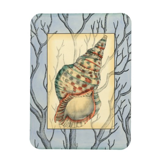 Seashell and Tree Branches Magneet (Verticaal)