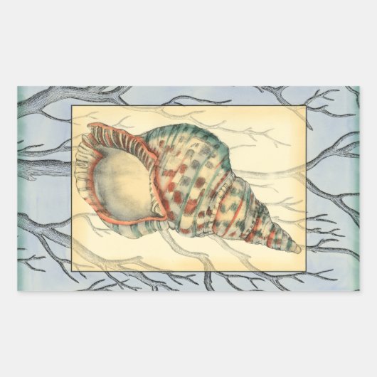 Seashell and Tree Branches Rechthoekige Sticker (Voorkant)