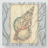 Seashell and Tree Branches Stenen Onderzetter (Voorkant)