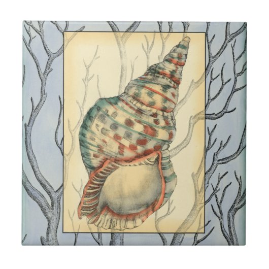 Seashell and Tree Branches Tegeltje (Voorkant)