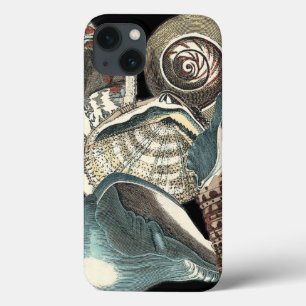 Seashell Anthology iPhone 13 Hoesje