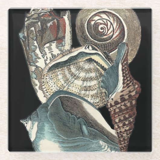 Seashell Anthology Glazen Onderzetter (Voorkant)