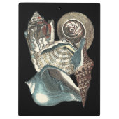 Seashell Anthology Klembord (Achterkant)